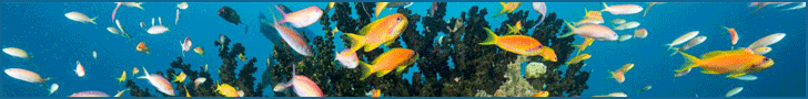 https://machangulobeachlodge.com