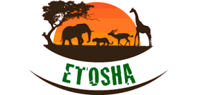 Namibia Etosha