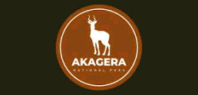 Rwanda’s Akagera Welcomes 70 Rhinos, Boosting Safari Appeal