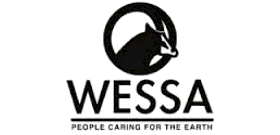 South Africa’s Blue Flag Beaches and Green Coast Sites Set New Standards for Coastal Tourism