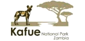 Zambia’s Record Wildlife Translocation Revitalizes Kafue National Park and Boosts Eco-Tourism